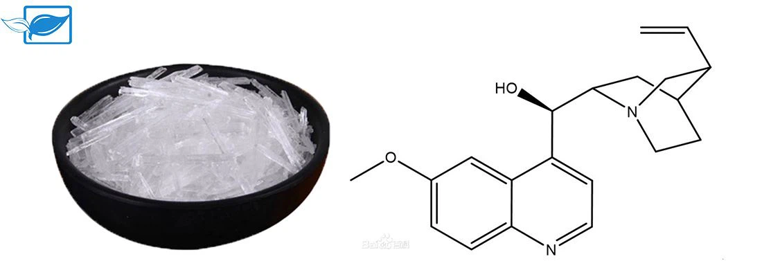 quinine introduction