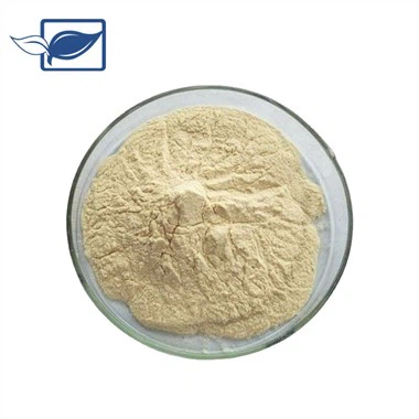 Chiết xuất nhân sâm Bột Ginsenoside