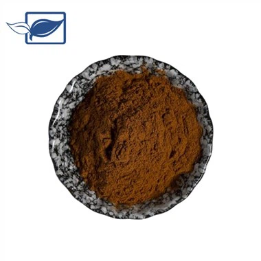 Bột chiết xuất Rhodiola Rosea